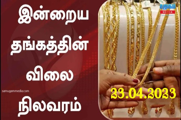 இலங்கையில் இன்றைய தங்கத்தின் விலை நிலவரம்!samugammedia 