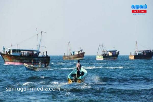 இந்திய ரோலர் படகுகளால் வடபகுதி மீன்வளம் அழிவு...!தமிழக முதலமைச்சருக்கு எடுத்துரைக்க நடவடிக்கை..!samugammedia 