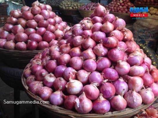 பெரியவெங்காயத்திற்கு உரிய விலை கிடைக்கபெறவில்லை - விவசாயிகள் கவலை வெளியீடு...!samugammedia 