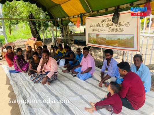 80 இற்கும் மேற்பட்ட பசுக்கள் உயிரிழப்பு - தொடரும் பண்ணையாளர்களின் போராட்டம்!samugammedia 