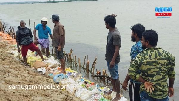 கரியாலை நாகபடுவான் குளத்தின் அணைக்கட்டு பாதுகாக்கும் பணி கணிசமாக நிறைவு..!!Samugammedia 