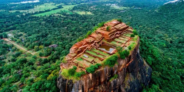 மூடப்பட்டது சிகிரியா..! குளவி கொட்டியதில் 70 பேர் வைத்தியசாலையில் 