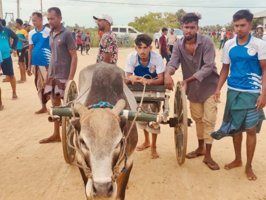 புத்தளத்தில் மாட்டு வண்டிகளின் பாரம்பரிய விளையாட்டு போட்டிகள் 