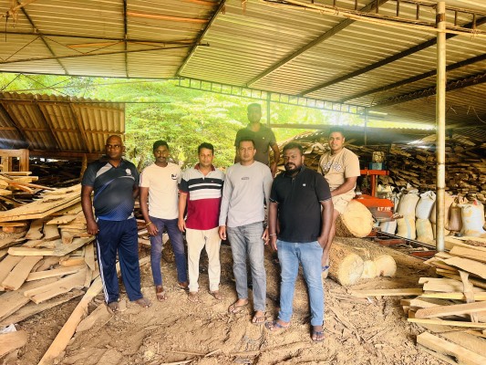 வவுனியாவில் சட்டவிரோதமாக வெட்டப்பட்ட மரக்குற்றிகளுடன் ஒருவர் கைது! 