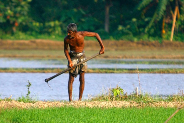 பெரும் போக பயிர்ச்செய்கைக்கான நீர்; விவசாயிகளுக்கு மகிழ்ச்சி அறிவிப்பு 