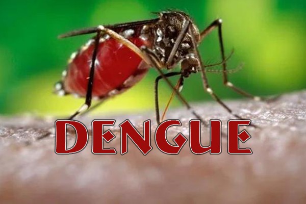 வடக்கு உட்பட நான்கு மாகாணங்களை அச்சுறுத்தும் டெங்கு நோய்..!  அதிகரித்த மரணங்கள் 