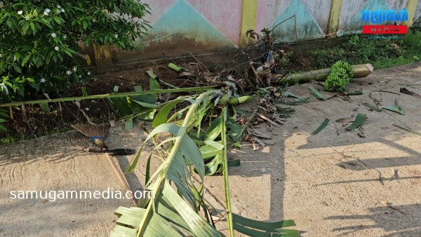 மூதூரில் காட்டு யானைகளின் அட்டகாசம்- கிராம மக்கள் கவலை..! 