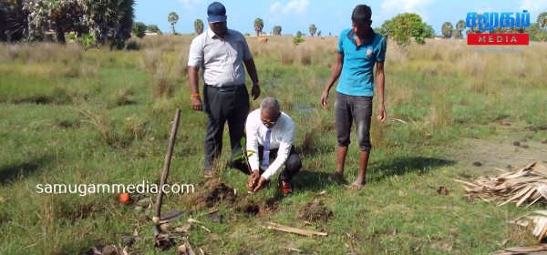 வடமராட்சியில் மரம் நடுகை நிகழ்வில்  : பனை அபிவிருத்தி சபைத் தலைவர் பங்கேற்பு ! 