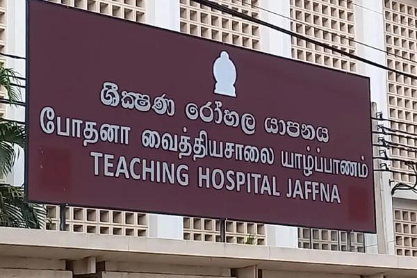 வவுனியாவில் எலி காய்ச்சலால் பாதிக்கப்பட்டவர் யாழ் போதனாவுக்கு மாற்றம்..! 