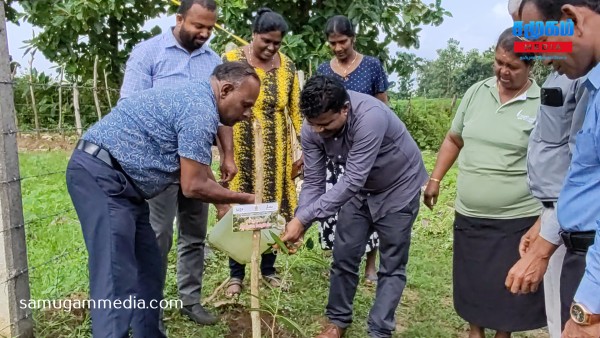 வவுனியா இலுப்பைக்குளத்தில் மரம் நடுகை செயற்றிட்டம் முன்னெடுப்பு..! 