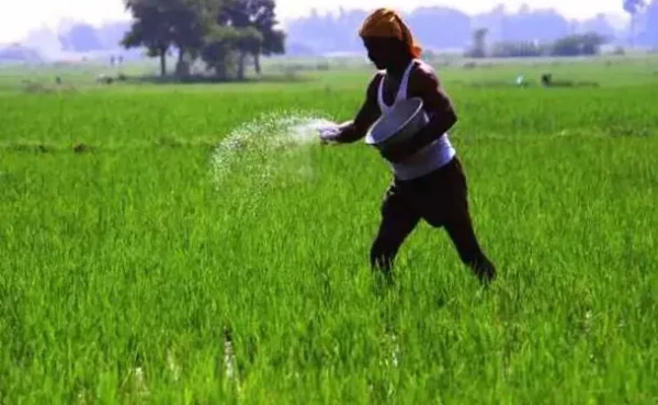 பயிர்கள் அழியும் அபாயம் - உர மானியம் வழங்குமாறு விவசாயிகள் ஜனாதிபதியிடம் கோரிக்கை! 