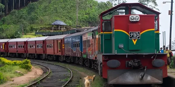 முன்பதிவு செய்யப்பட்ட இருக்கைகள் தொடர்பில் ரயில்வே திணைக்களத்தின் விசேட அறிவிப்பு! 