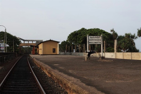 புகையிரதத்தில் மோதி பெண் ஒருவர் மரணம்; கொழும்பில் துயரம்..! 