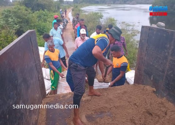 குச்சவெளி கைநாட்டான் குளக்கட்டினை பாதுகாக்கும் வேலைகள் ஆரம்பம்..! 