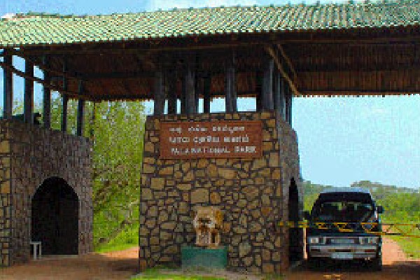 மீண்டும் திறக்கப்படவுள்ள யால தேசிய பூங்கா 