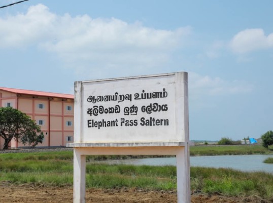 Cinesamugam