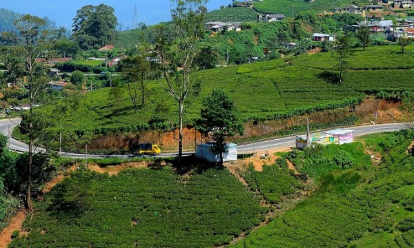 Cinesamugam