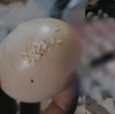 Cinesamugam