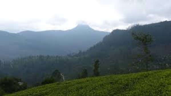 Cinesamugam