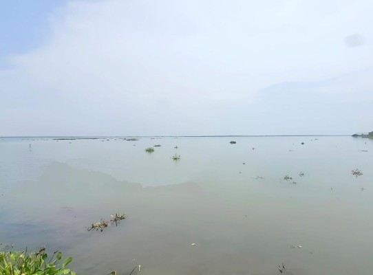 Cinesamugam