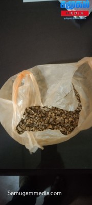 Cinesamugam