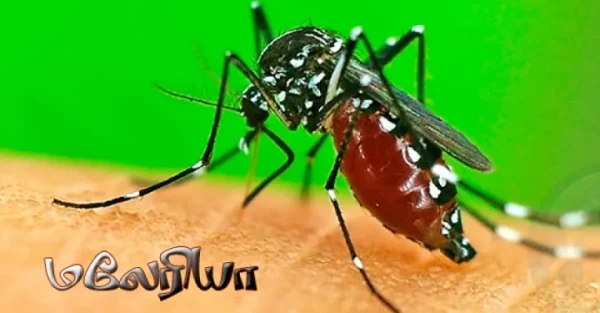 Cinesamugam