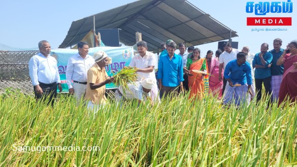 கிளிநொச்சி கோணாவிலில் நெல் அறுவடை விழா! 