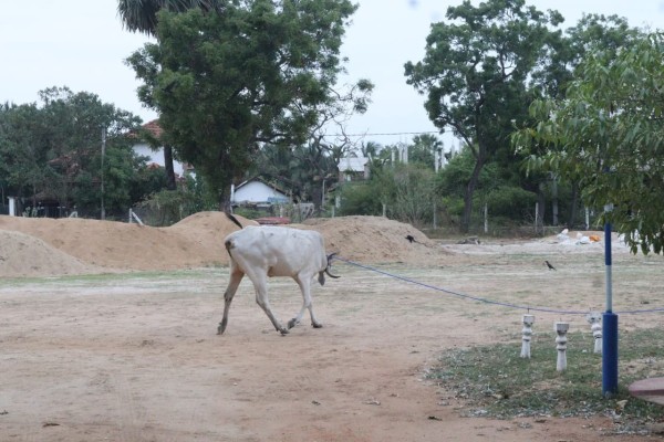 Cinesamugam