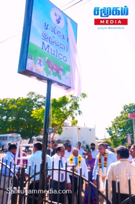 Cinesamugam