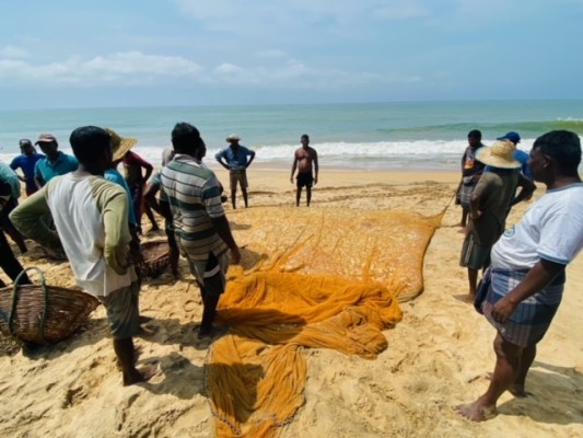 புத்தளத்தில் பிடிபட்ட ஒருதொகை மீன்கள்.! சந்தோஷத்தில் ஆர்ப்பரித்த மீனவர்கள் 