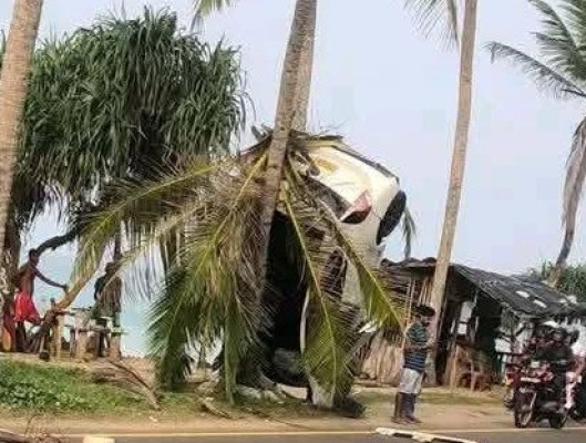 தென்னை மரத்தில் மோதி குத்துக்கரணம் அடித்த கார்; தப்பிய உயிர்கள்! புதுவருடத்தில் துயரம் 