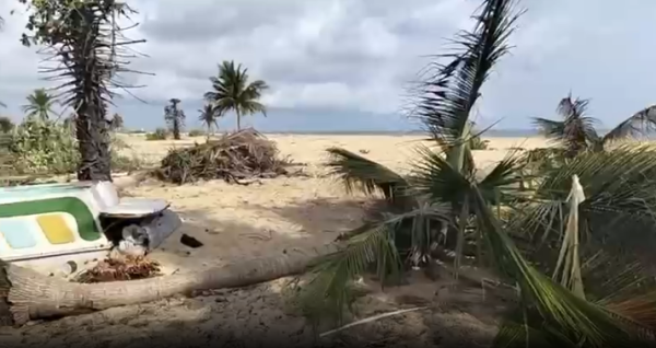 யாழ்ப்பாணத்திற்குள் நுழைந்த காட்டு யானைகள் - பெரும் அச்சத்தில் மக்கள் 