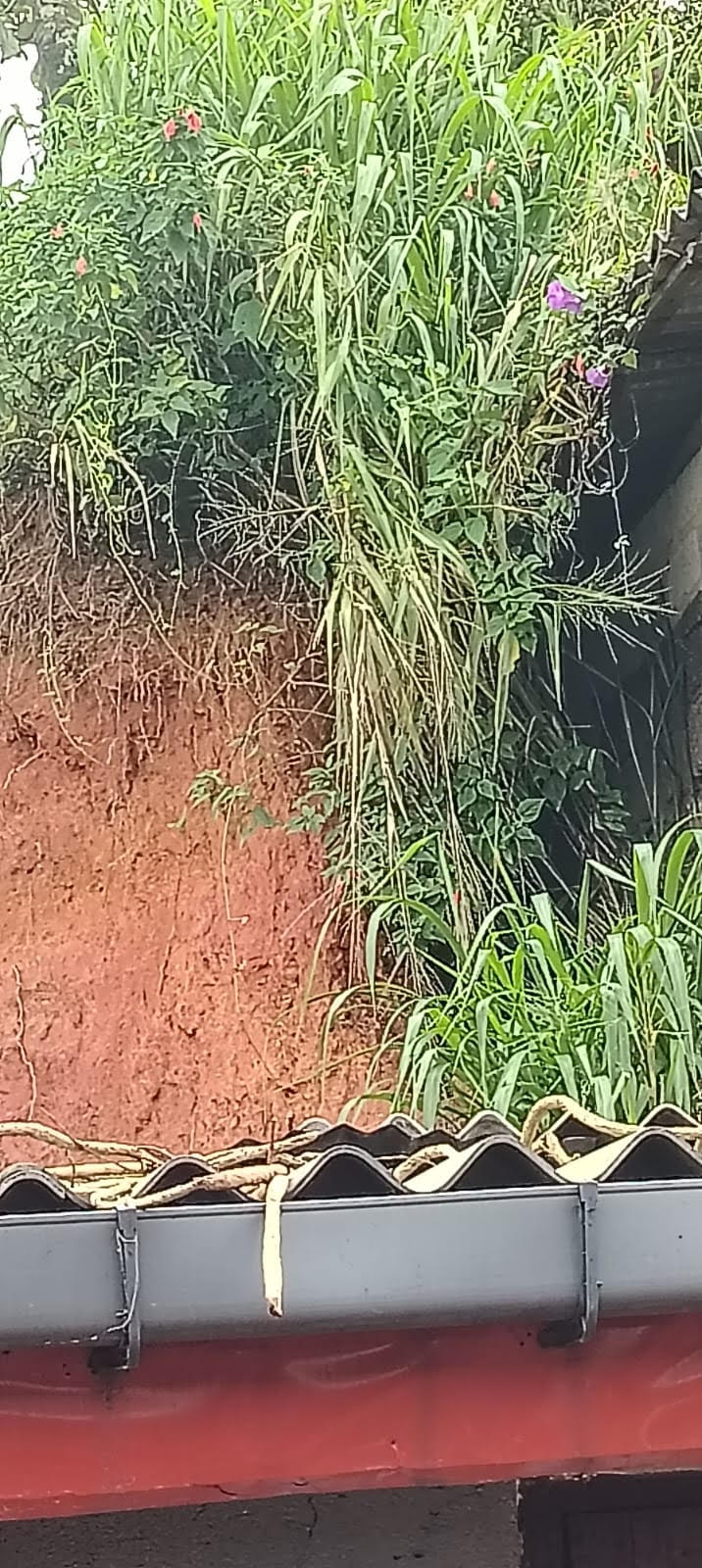 எந்நேரமும் இடிந்து விழும் அபாயத்தில் குடியிருப்பு சுவர் - அச்சத்தில் தோட்ட மக்கள் 5